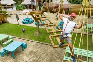 Barbados: Monkey Zip & Gully Challenge Adventure