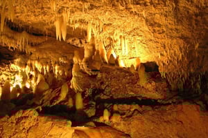 Barbados: tour por la cueva de Harrison y los jardines de Hunte