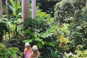 Barbados: Jardín de Hunte, Estudios Artesanos y Excursión a la Playa