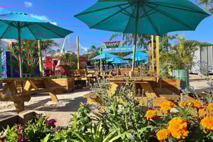 Traslado a Carlisle Bay con silla de playa incluida.