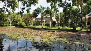 Codrington College
