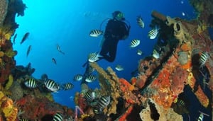 Hazell's Water World Inc. Divers Supply Shop