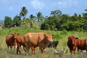 PEG Farm & Nature Reserve