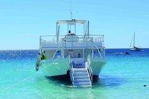 Shore Excursion Barbados Beach Day & Turtle Swim Experience