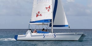 Small Cats Catamaran Sailing Cruises