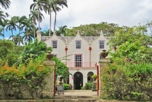From Saint James/Christ Church: The Story Of Rum Tour