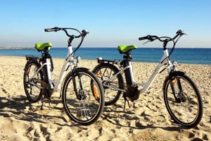 Barcelona 3 Hour Daily Electric Bike Tour