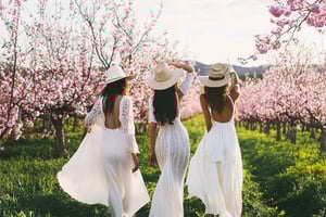 Formentera: prywatna przejażdżka konna z odbiorem z plaży