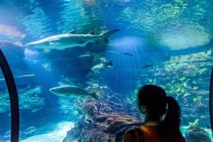 Barcelona Aquarium: Entry Ticket