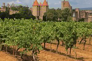 Barcelona: Tour Carcassonne & Girona