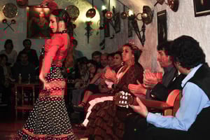 Barcelona: Byvandring & Flamenco Show med vin og tapas