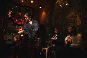 Barcelona: diner met flamencoshow, authentieke zang en dans