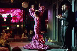 Barcelona: Flamenco Show with Drink at La Rambla