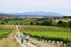 Opastettu puolen päivän viini- ja sähköpyöräretki: Opastettu puolen päivän viini- ja sähköpyöräretki