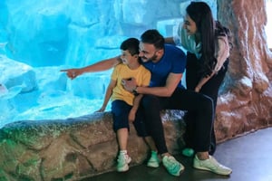 Barcelona: Hop-On Hop-Off Bus & Aquarium Tour