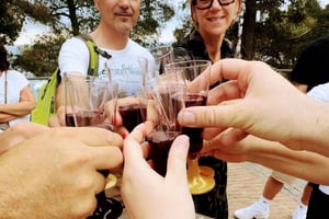 Barcelona: Montjuïc Tour with a glass of Wine