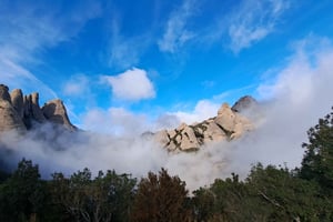 Barcelona: Montserratin luostari ja luonnonpuisto opastettu kierros