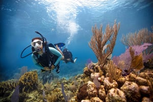 BARCELLONA: BATTESIMO DELL'IMMERSIONE - Immergiti e vivi esperienze subacquee - 2 ore