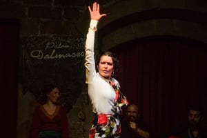 Barcelona: Tapas e Vinho com Espetáculo de Flamenco na Cidade Velha
