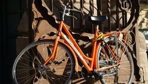 BudgetBikes Rental & Tours