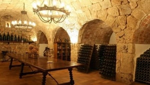 Cava Agustí Torelló Mata