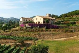 Barcelonasta: Barcelona: Purjehdus ja E-bike viinitilakierros maisteluineen