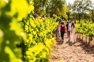 Barcelona: Montserrat, visita a uma adega e almoço com prova de vinhos