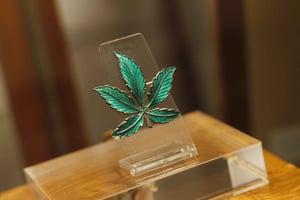 Barcelona: Bilhete de entrada para Hash Marihuana & Hemp Museum