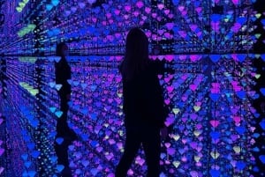 Moco Museum Barcelona: moderne en hedendaagse kunst