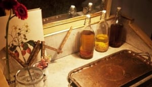 Picnic Restaurant in Barcelona