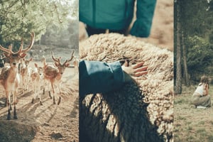 Wild Forest Reserve Foundation - Betreuer für einen Tag