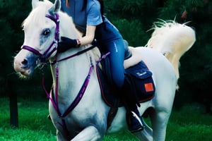 Пекин: двухдневный лагерь верховой езды с питанием и проживанием