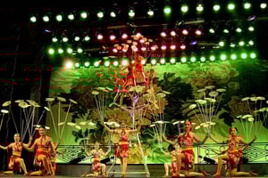 Pekín: Espectáculo Acrobático con Cena de Pato Pekín Tour privado