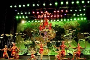 Peking: Akrobatisk show med middag med pekingankor Privat rundtur