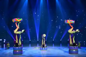 Espectáculo de acrobacias en Pekín y ópera de Pekín con traslado