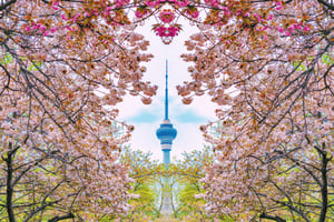 Beijing: Billett til observasjonsdekket i det sentrale radio- og TV-tårnet