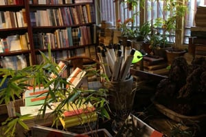 Hutong Walking Tour: Discover Real Beijing without Crowds