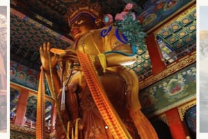 Beijing: Lama-templet og gamle Hutong halvdagstur (14:30)