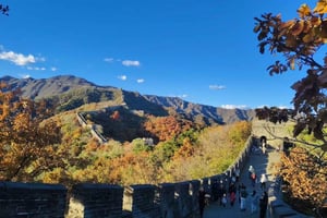 Pechino: Grande Muraglia di Mutianyu + Tempio del Cielo + ravioli