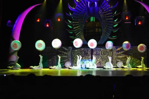 Beijing: Night Tour of Acrobatics Show Including Transfer