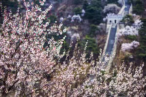 Beijing: Private Roundtrip Transfer to Great Wall of China