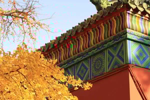 Beijing: Temple of Earth ticket; Serene, Majestic, Ancient