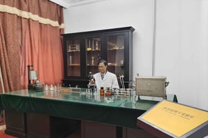 Beijing Unik halvdagsutflukt til Wooliands tidligere bolig