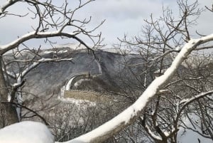 BJ: Gran Muralla y Ciudad Prohibida u otro punto panorámico opcional