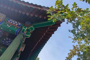 Forbidden City & Prince Gong's Mansion: Hutong Experience