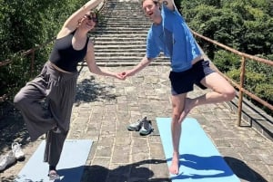 Manhã privada na Grande Muralha e pato à Pequim autêntico