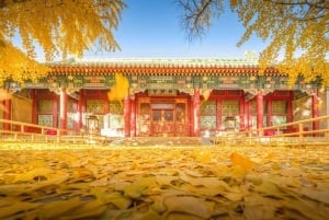 ¿Por qué la mansión del príncipe Gong es la 'residencia real más importante' de Pekín?