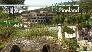 Pineland