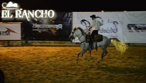 Xtreme Sports & Activities at El Rancho