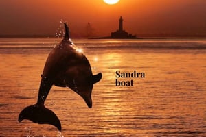 3hours Dolphin Sunset watching with unlimited drinks +dinner